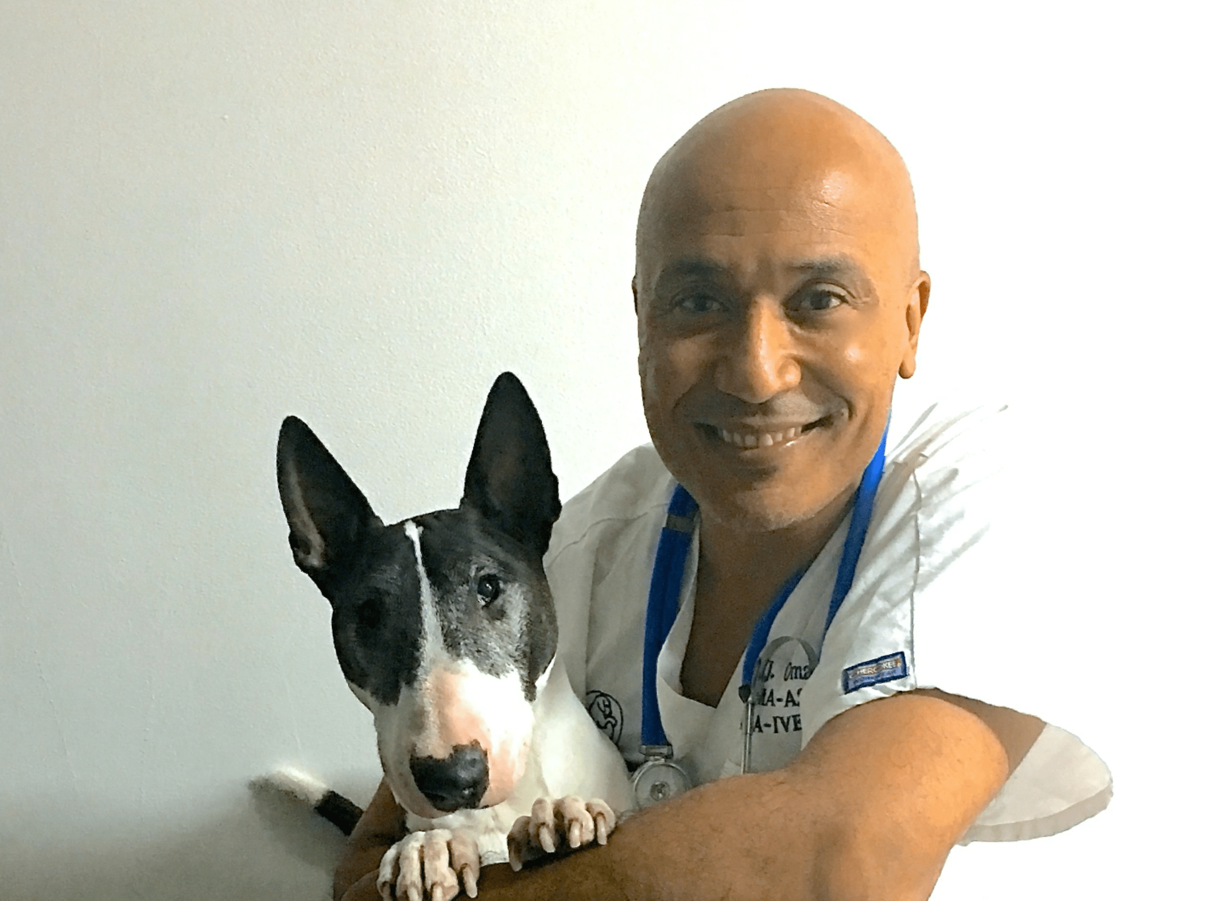 Vétérinaire Coppet, Veterinaire Coppet, Coppet Veterinaire, Coppet Vétérinaire, cabinet vétérinaire Coppet, cabinet veterinaire Coppet, clinique vétérinaire Coppet, vétérinaire de Garde Coppet,veterinaire de Garde Coppet, Cabinet Vétérinaire International